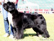 Превью фото № 127444