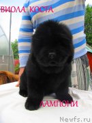 Превью фото № 127495