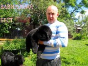 Превью фото № 127500