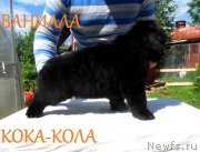 Превью фото № 127507