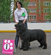 Превью фото № 127510