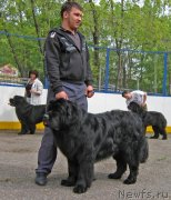 Превью фото № 127530