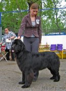 Превью фото № 127532