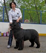 Превью фото № 127533