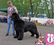 Превью фото № 127537