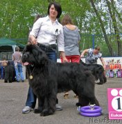 Превью фото № 127538