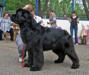 Превью фото № 127539