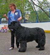 Превью фото № 127541