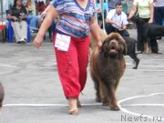 Превью фото № 127586