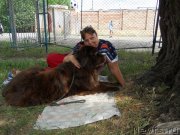 Превью фото № 127587