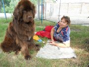 Превью фото № 127588