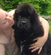 Превью фото № 127589