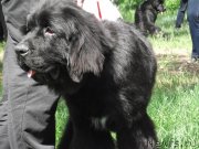 Превью фото № 127660