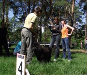 Превью фото № 127668