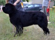 Превью фото № 127670