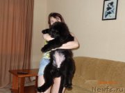 Превью фото № 127671