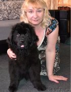 Превью фото № 127672