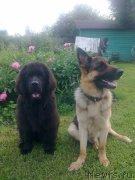 Превью фото № 127673