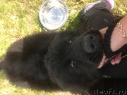 Превью фото № 127704