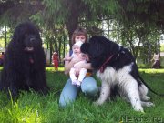 Превью фото № 127740