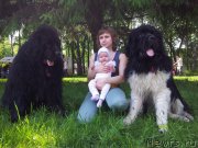 Превью фото № 127741