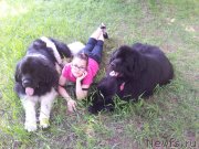 Превью фото № 127742