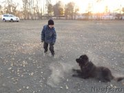 Превью фото № 127744