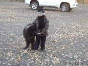 Превью фото № 127745