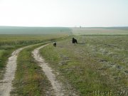 Превью фото № 127751