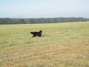 Превью фото № 127753