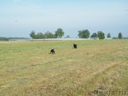 Превью фото № 127754