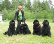 Превью фото № 127806