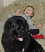 Превью фото № 127868