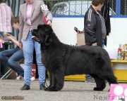 Превью фото № 127896