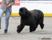 Превью фото № 127897