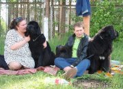 Превью фото № 127912