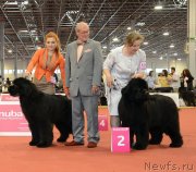 Превью фото № 127958