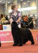 Превью фото № 127964