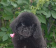 Превью фото № 127989