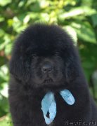 Превью фото № 127999