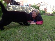 Превью фото № 128007