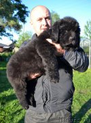 Превью фото № 128056