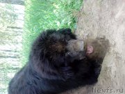 Превью фото № 128061