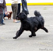 Превью фото № 128086