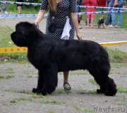 Превью фото № 128112