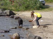 Превью фото № 128118