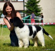 Превью фото № 128120