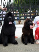 Превью фото № 128121