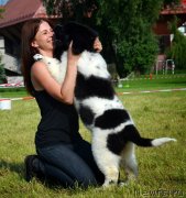 Превью фото № 128127