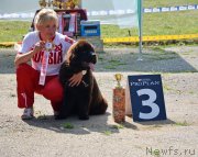 Превью фото № 128141